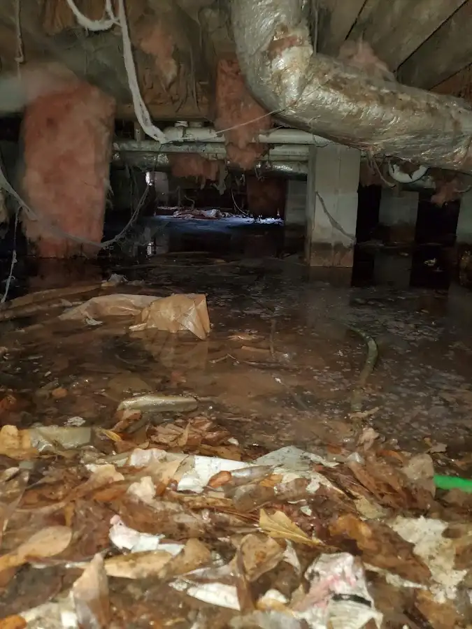 Crawl space flood assessment for Leak Detection & Repair in Longview