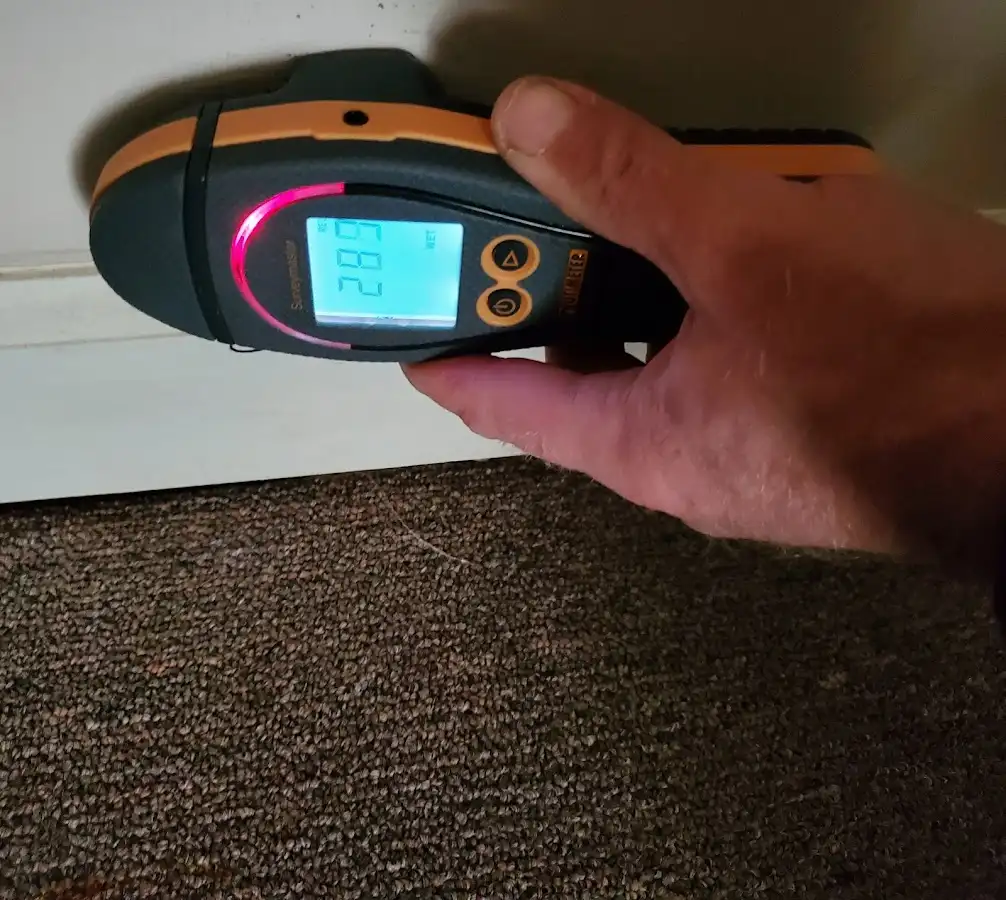 Moisture detection at baseboard during Mold Inspection & Testing in Longview